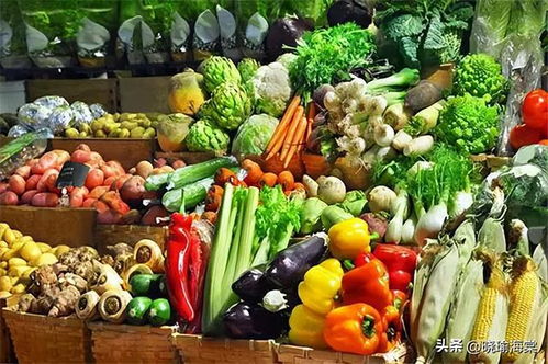 轉(zhuǎn)基因食品 全球禁令與科學(xué)爭議背后的真相